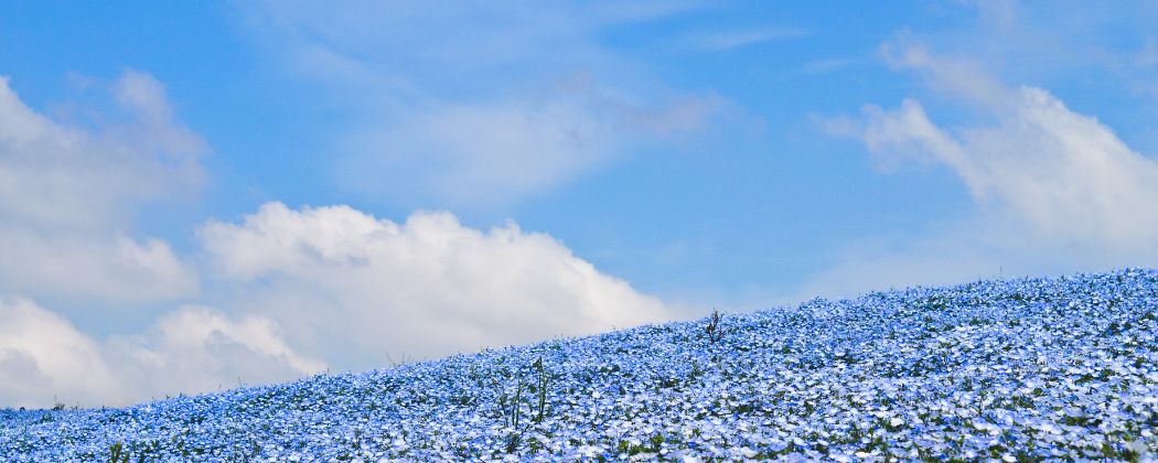 名称未設定のデザイン (3)